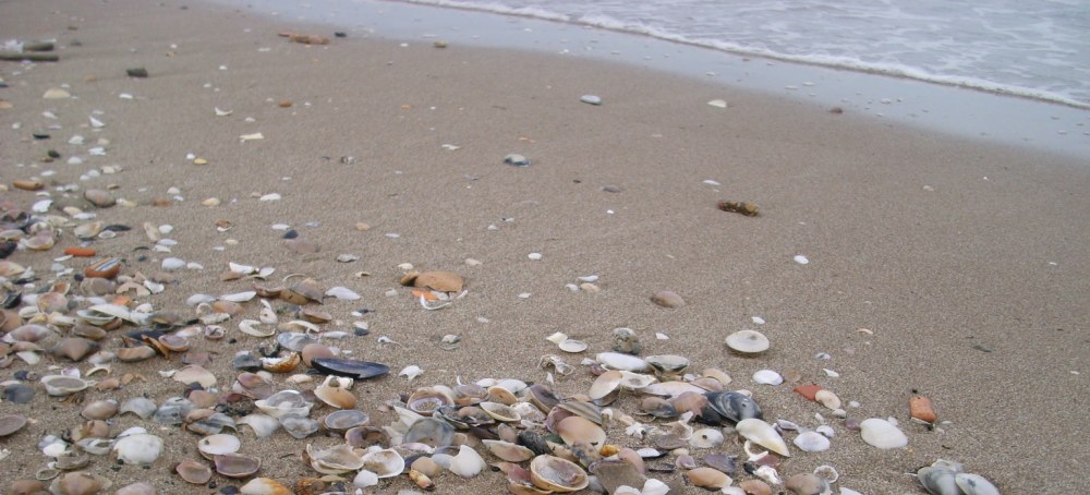 beachhypnosis